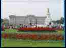 tn_1DSC01379.JPG